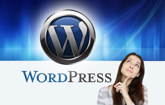 Porque elegir wordpress para empezar un negocio online
